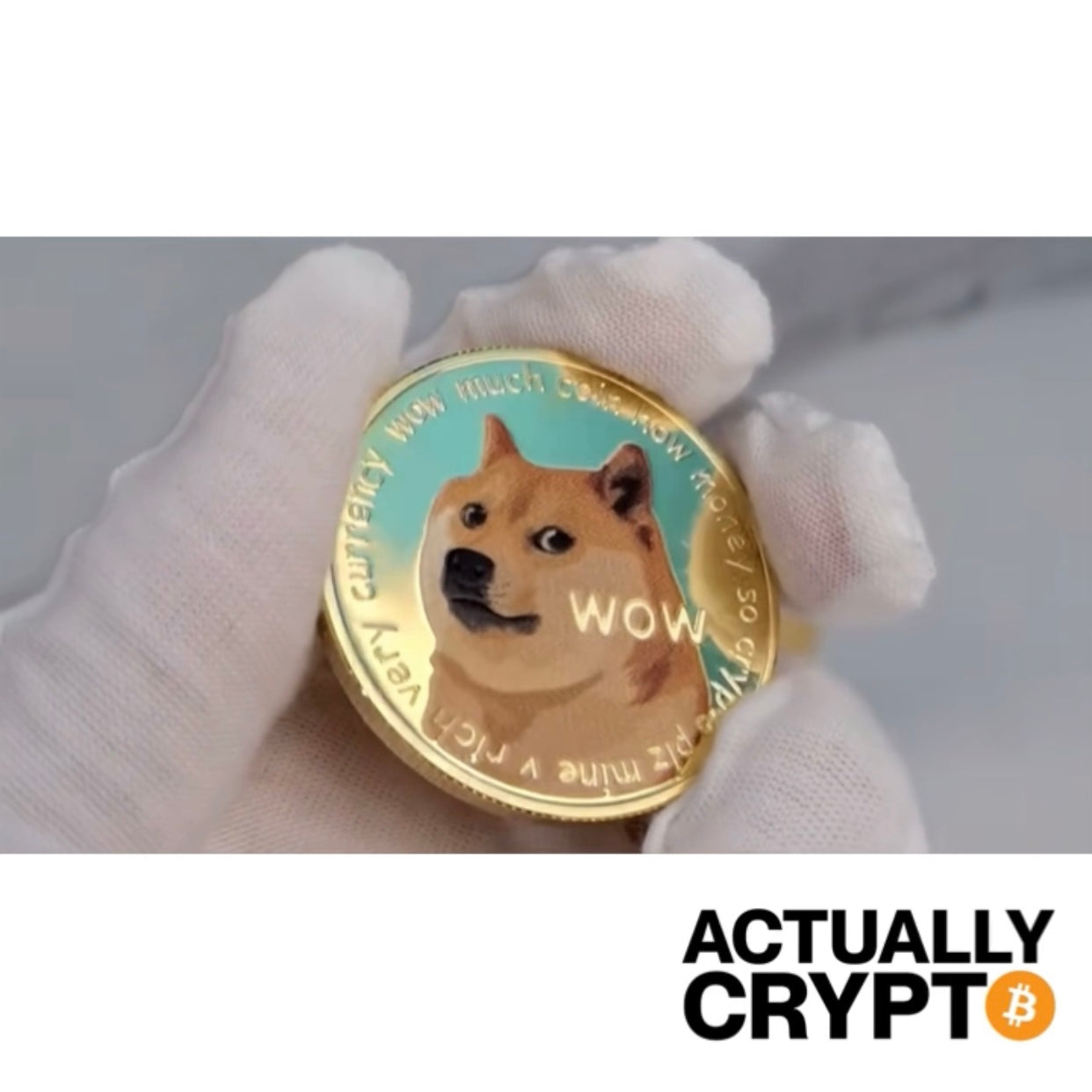 DOGECOIN COIN (COLORED)